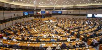How much power does the EU Parliament have?
